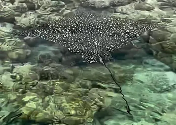In Coral Private Sultan Şarm El-Şeyh